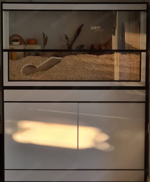 Premium Kunststoff Terrarium Trennbar 135x40x50 Anlage Wand Zucht Bild 5