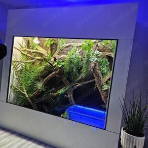 Premium Kunststoff Terrarium Trennbar 135x40x50 Anlage Wand Zucht Bild 6