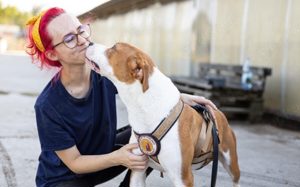 Bennett sucht ein Zuhause Bild 3