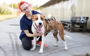 Bennett sucht ein Zuhause Bild 4