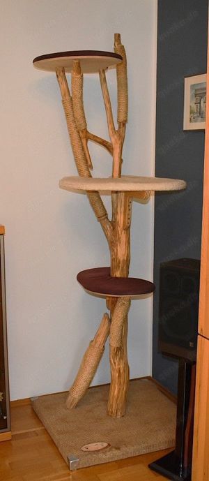 Katzenbaum - massiv !