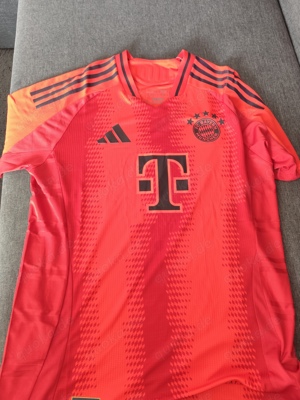 Fc Bayern München Trikot 2024
