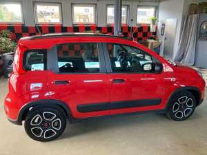 Fiat Panda 1.2 8V CITY LIFE LPG~Gas~Klima Bild 5