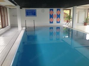 Apartment im Schwarzwald mit beh.Hallenbad und neuer Sauna Bild 2