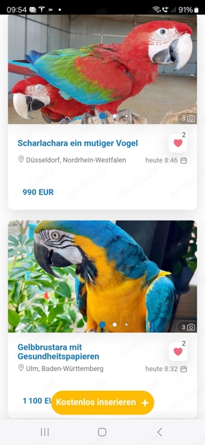Ara Betrüger 