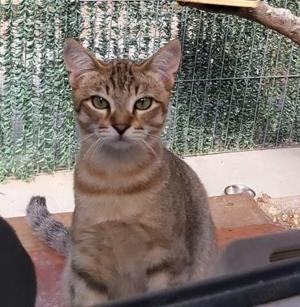 Frodo braucht viel Liebe (OLC)