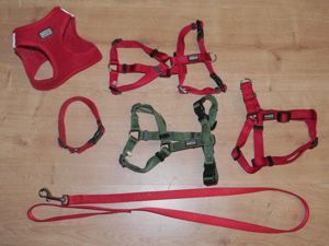 6tlg AniOne H Hundegeschirr NEU Gr.S + Hundeleine + Hundehalsband Hunter - W 