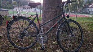 Herrenfahrrad, Titan, 28 Zoll, 27 - Gang Shimano