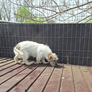Die wunderbare Fiona stellt sich vor!