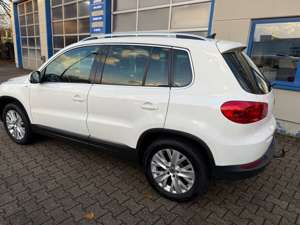 Volkswagen Tiguan Life BMT Navi AHK Bild 4