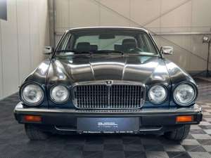 Jaguar XJ V12 H Kennzeichen Oldtimer Bild 3