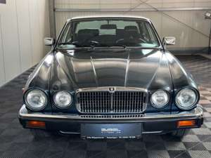 Jaguar XJ V12 H Kennzeichen Oldtimer Bild 4