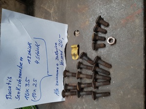 Busatis Reinigungs Platten Schrauben 