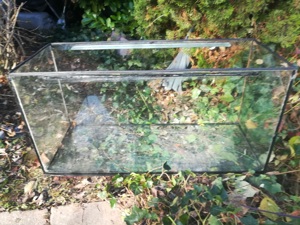 Aquarium Terrarium