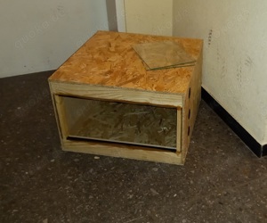 Holzterrarium, ca 60x60x40  Bild 3