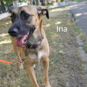 Ina, geb. 2022, sucht liebevolle Familie Bild 2