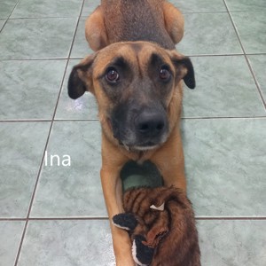 Ina, geb. 2022, sucht liebevolle Familie Bild 3