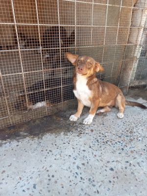 Hanni wartet seit 3 Jahren auf eine Anfrage Bild 5