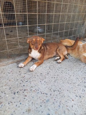 Hanni wartet seit 3 Jahren auf eine Anfrage Bild 4