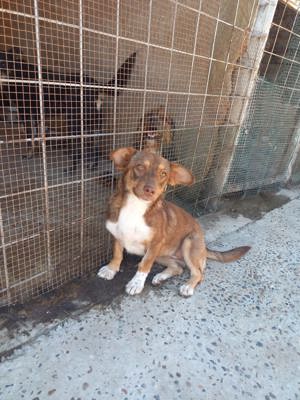 Hanni wartet seit 3 Jahren auf eine Anfrage Bild 9