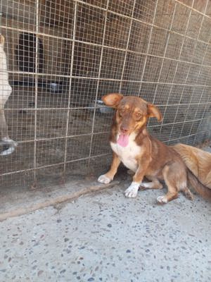 Hanni wartet seit 3 Jahren auf eine Anfrage Bild 7