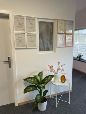 Melody Wellness Studio Wellness Massage China Massage  Bild 5