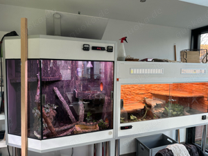 Terrarium komplett