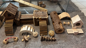 XXL Zwerghamster Starterset Bild 4