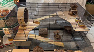 XXL Zwerghamster Starterset Bild 2