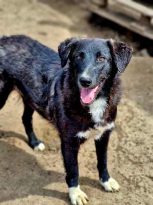 Wer gibt Wayona eind Chance