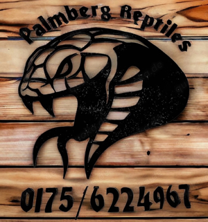 Palmberg Reptiles