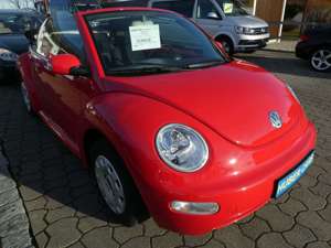 Volkswagen New Beetle Cabriolet 1.4 ORIG.NUR 3´km Bild 4