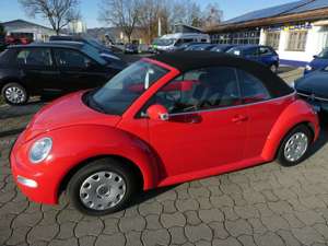 Volkswagen New Beetle Cabriolet 1.4 ORIG.NUR 3´km Bild 3