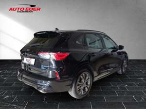Ford Kuga ST-Line leichter Hagelschaden Sportpaket Navi Bild 4