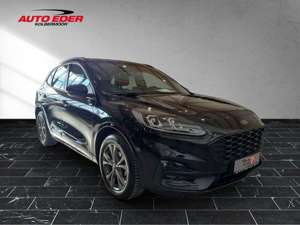 Ford Kuga ST-Line leichter Hagelschaden Sportpaket Navi Bild 5