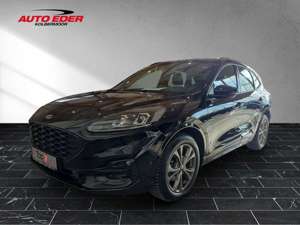 Ford Kuga ST-Line leichter Hagelschaden Sportpaket Navi Bild 2