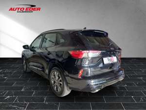 Ford Kuga ST-Line leichter Hagelschaden Sportpaket Navi Bild 3
