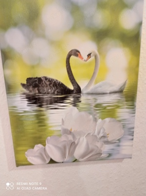 Leinwandbilder zuverkaufen 