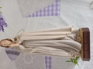 Madonna Maria Rosa Mystica Ora Pro Nobis Mater Ecclesiae