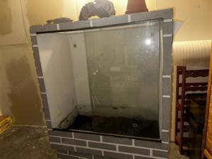 Terrarium 