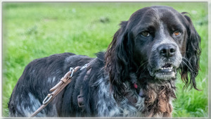 Xico, ein dufter Kumpel! Bild 8