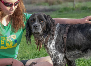 Xico, ein dufter Kumpel! Bild 9