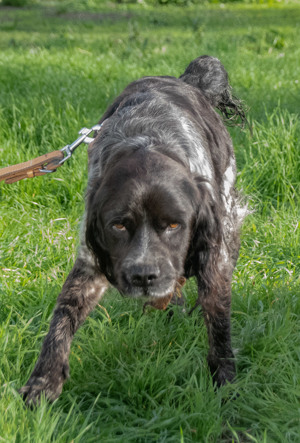 Xico, ein dufter Kumpel! Bild 7