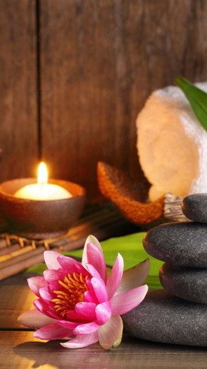 Mobile Wellness Massage, Spa at Home