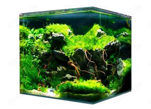 Aquarium NEU!! 40x40x40 Nanotank 64l mit LED Beleuchtung.Neu! OVP!