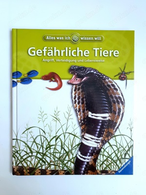 Versch. informative Kinderbücher ab 2 Euro, wie neu! Bild 6