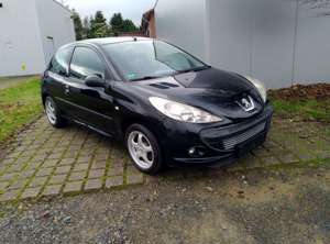 Peugeot 206 206 Plus1,1i Sport Tüv+Zahnriemen+Service Neu