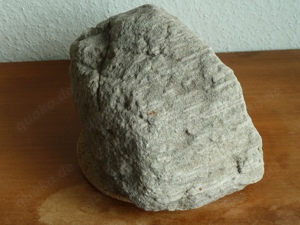 Versteinerte Koralle Fossilie Versteinerung Stein Natur unbearbeitet alt Bild 2