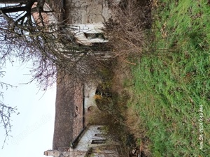 UNGARN ! Auswandern, Leben und Arbeiten in Ungarn. Wohnen, am Balaton oder Neusiedler See ! Bild 5