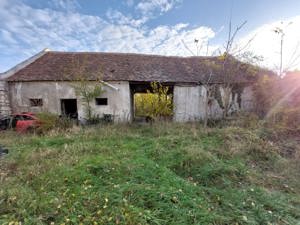 UNGARN ! Auswandern, Leben und Arbeiten in Ungarn. Wohnen, am Balaton oder Neusiedler See ! Bild 7